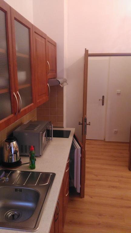 Apartments Paderewski Карловы Вары Экстерьер фото